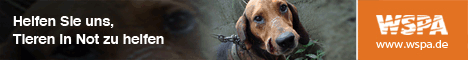 WSPA-Streuner-Banner468x60 WSPA-Streuner-Banner468x60
