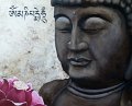 Buddha2014