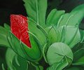Hibiskusknospe