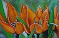 Tulpen